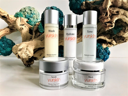 Everyday Cleansing Kit